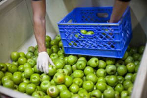 food-bank